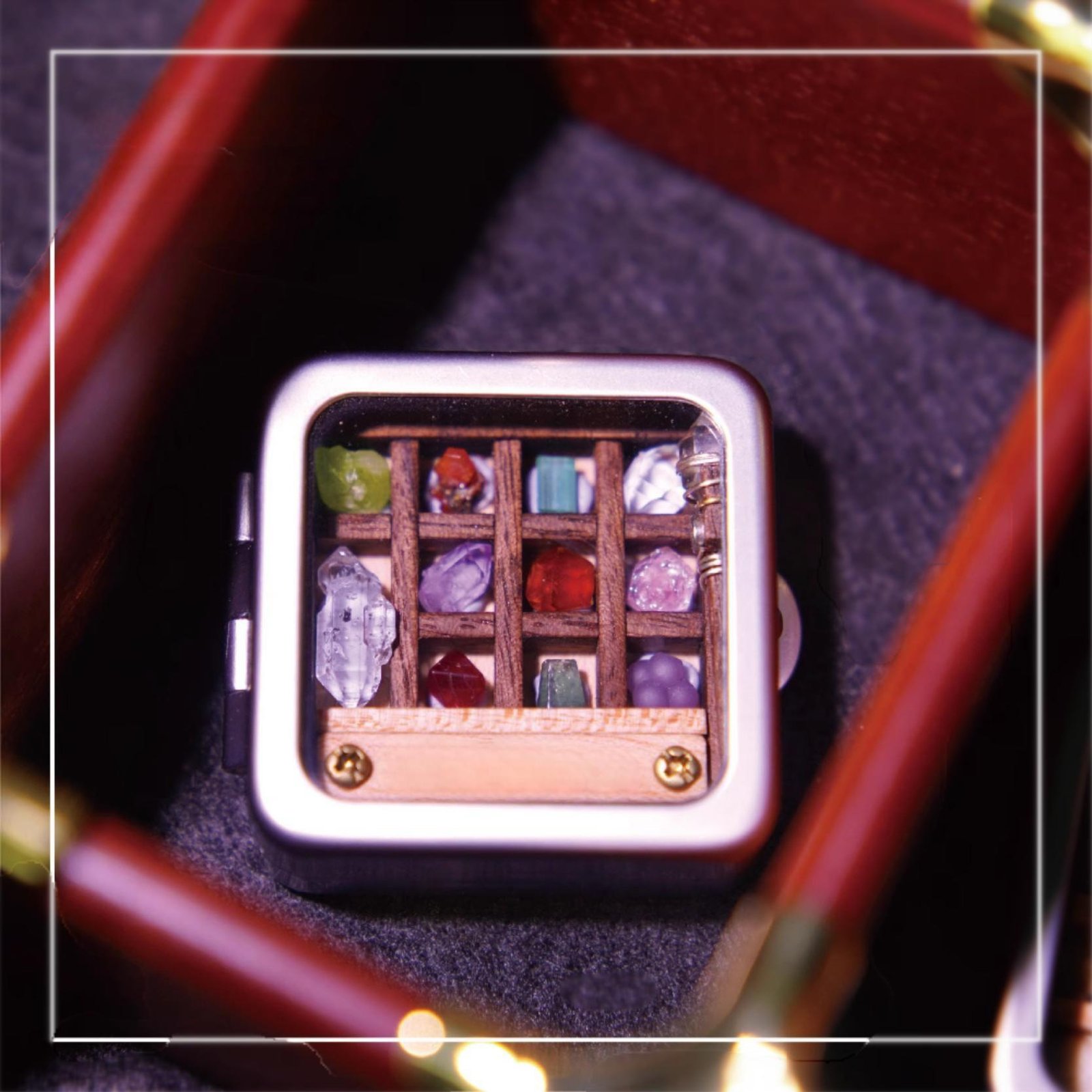 Juvelesker(Juvelesker,Skjellboks) - Bilde 2